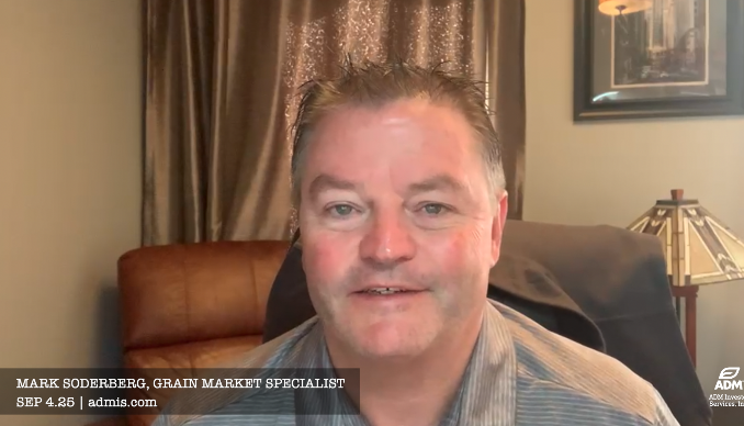 Mark Soderberg, grain market specialist